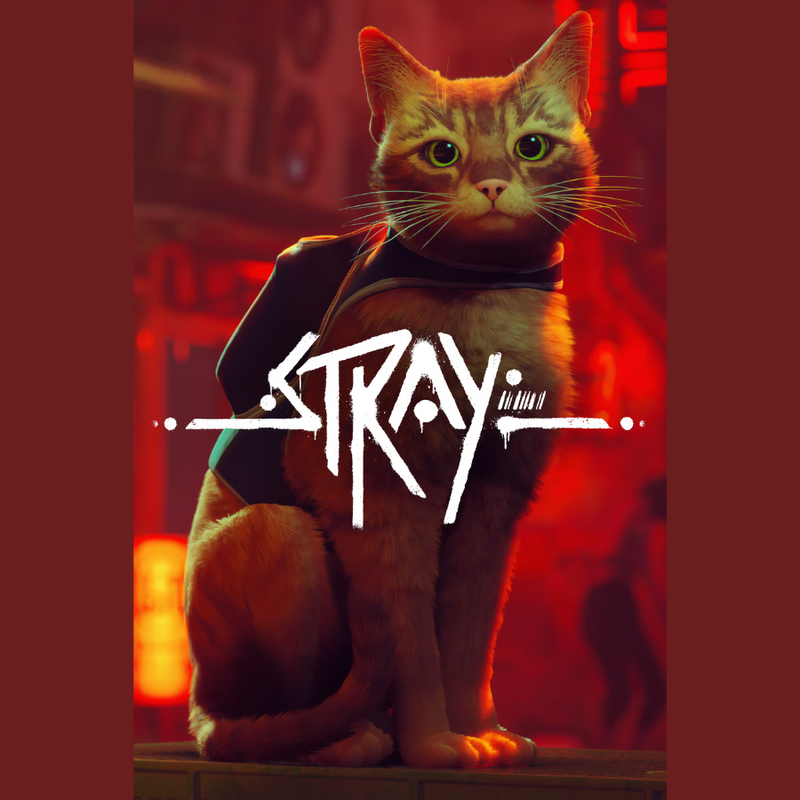 Stray Xbox One